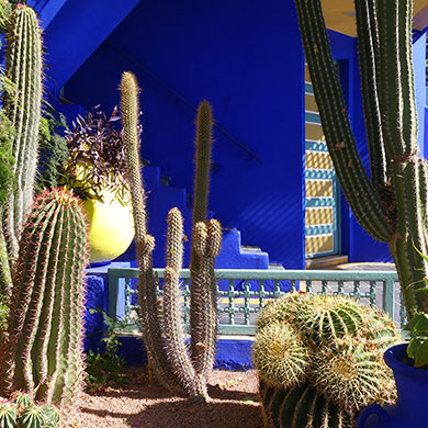 Snapshots from Marrakech