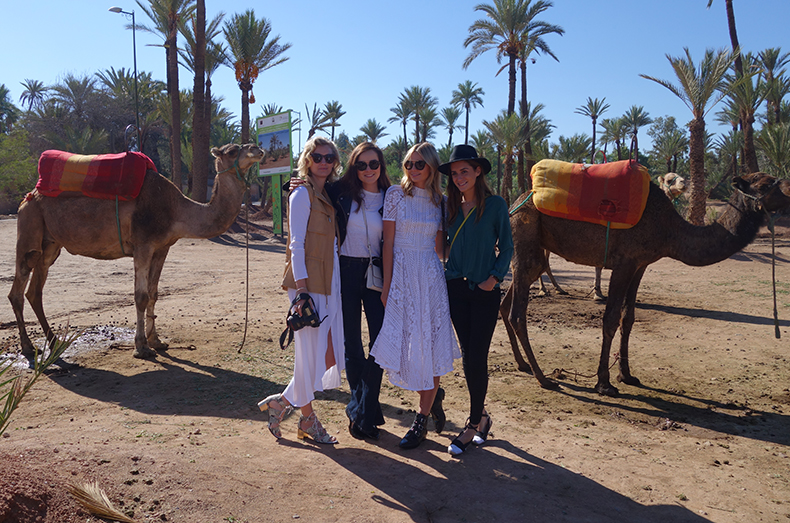Snapshots from Marrakech