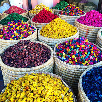 Snapshots from Marrakech