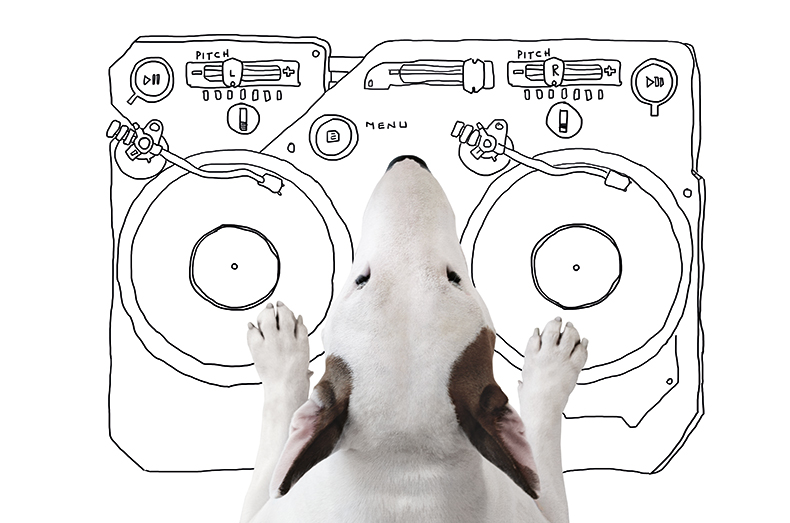 Choohound