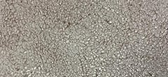 Soft Metallic Leather